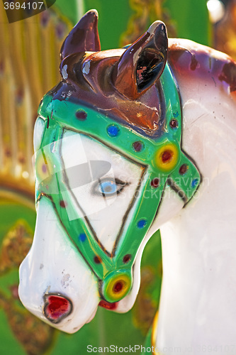 Image of horse of a carousel