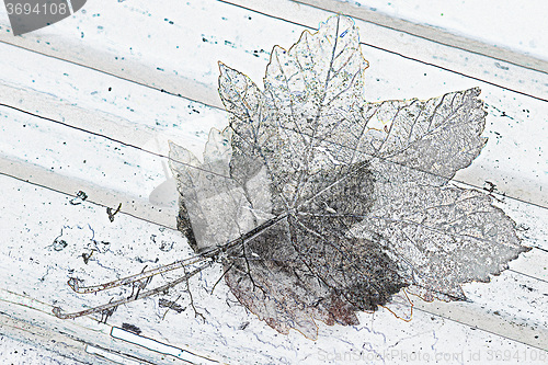 Image of autumnal leaf on a park bench