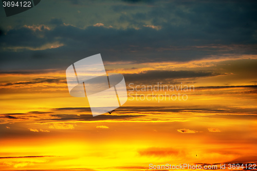 Image of Sky during sunrise