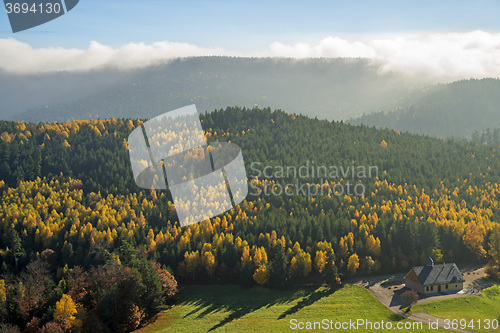 Image of View to the atumnal painted forest of the Vosges, Alsace, France