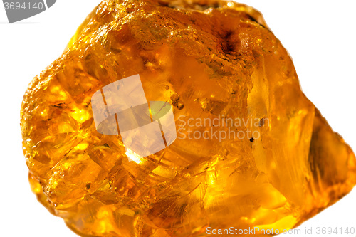 Image of Amber