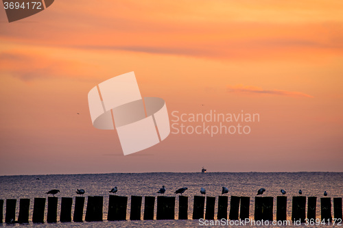 Image of Sunrise over the Baltic Sea with groynes