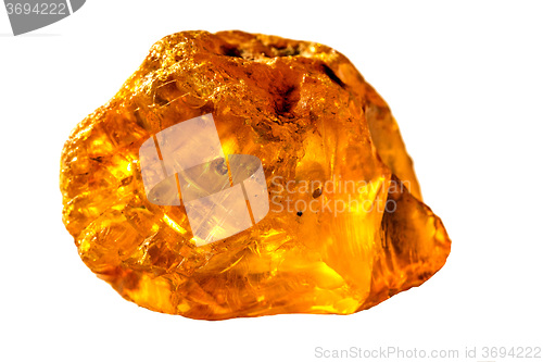 Image of Amber