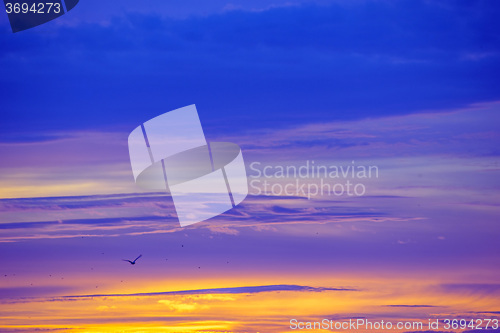 Image of Sky during sunrise