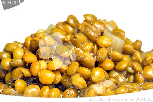 Image of Lentils, cooked