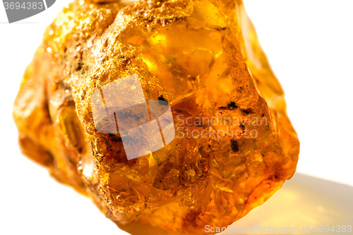 Image of Amber