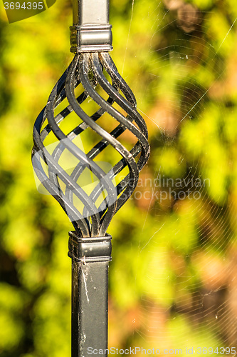 Image of iron ornament with spider web