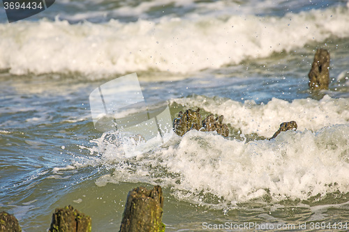 Image of Baltic Sea with groyens and surf