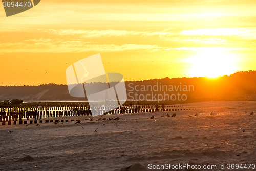 Image of Sunrise over the Baltic Sea with groynes