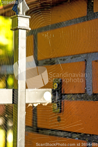 Image of Spider web at a fence