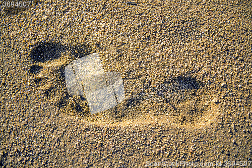 Image of footprint on a beach