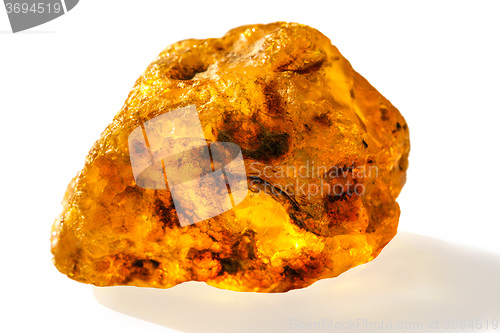 Image of Amber