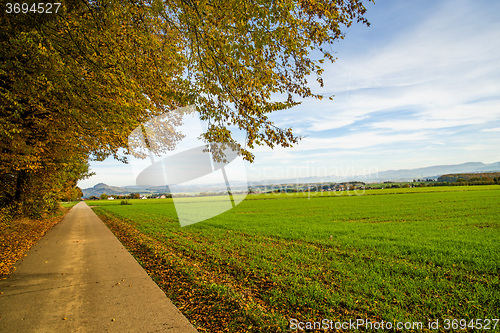 Image of winter wheat with view to German highlands