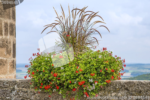 Image of flower and grass decoration on historic city wall