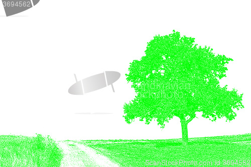 Image of tree on a way 