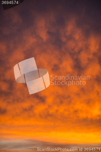 Image of sky with red clouds during sunrise