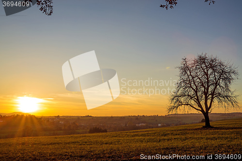 Image of sunset with tree