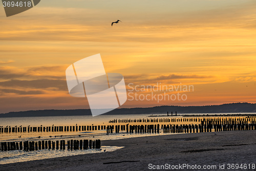 Image of Sunrise over the Baltic Sea with groynes