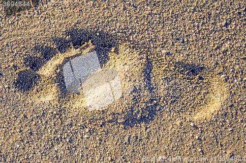 Image of footprint on a beach