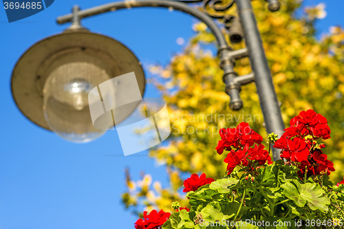 Image of street lantern with red flowers