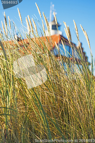 Image of beach grass with old lighthouse