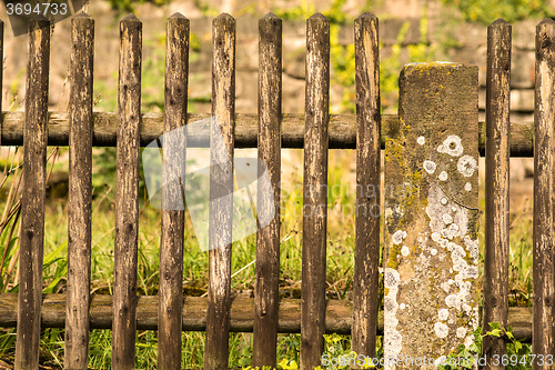 Image of Fence with green background