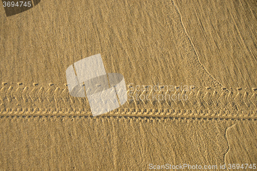 Image of bicycle tracks in sand