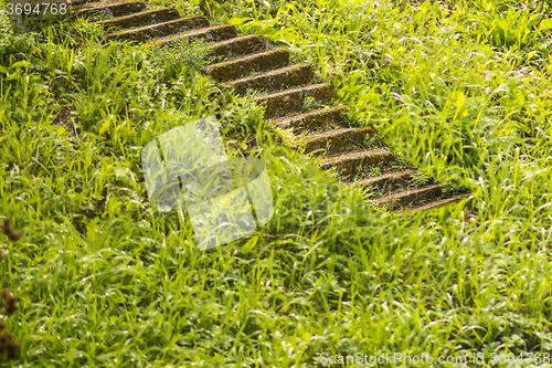 Image of old stairs in the green