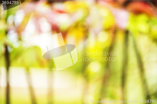 Image of Background of blurred colors