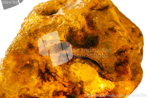 Image of Amber