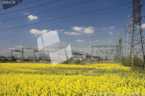 Image of Electric pylons and farmland