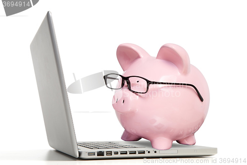 Image of The pink pig and notebook computer