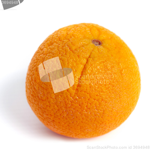 Image of Orange fruit 