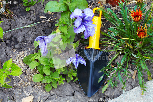 Image of Flower bed and Horticultural sundry