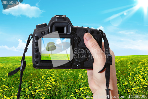 Image of The  landscape and digital photographic camera