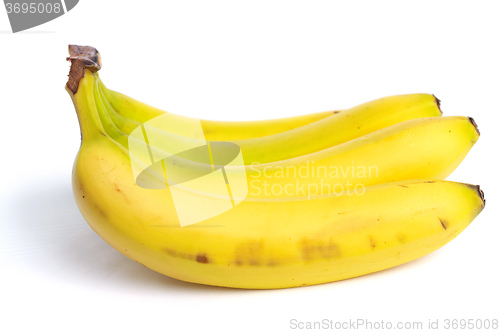 Image of Bunch of bananas