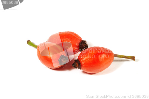 Image of Rose hips on a white background