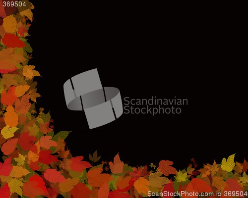 Image of autumn leaves