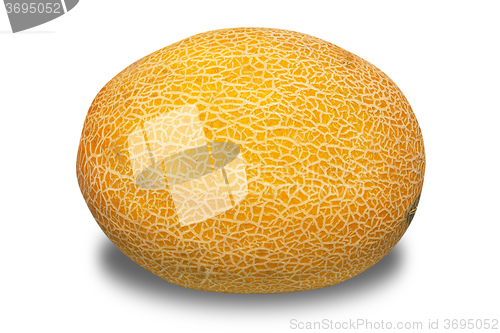 Image of Melon isolated on white background