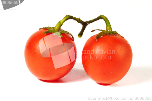 Image of Two tomatoes on a white background