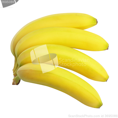 Image of Bunch of bananas