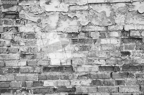 Image of Brick wall