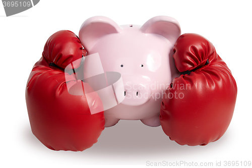 Image of Pig and boxing-glove