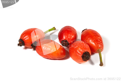 Image of Rose hips on a white background