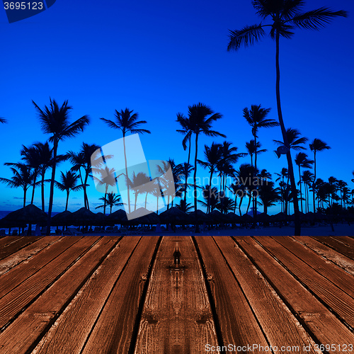 Image of Palms on the beach