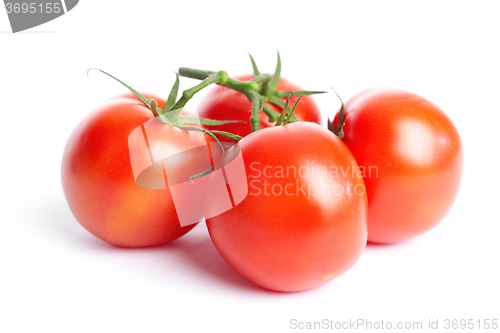 Image of Tomato on white