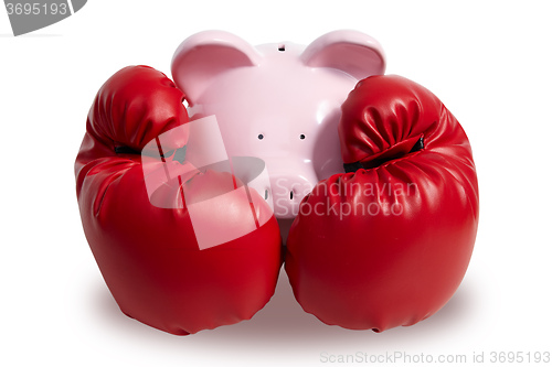 Image of Pig and boxing-glove