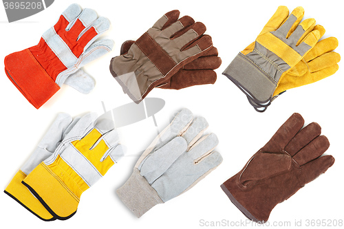 Image of Leather gloves. The assortment