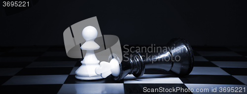 Image of The chess