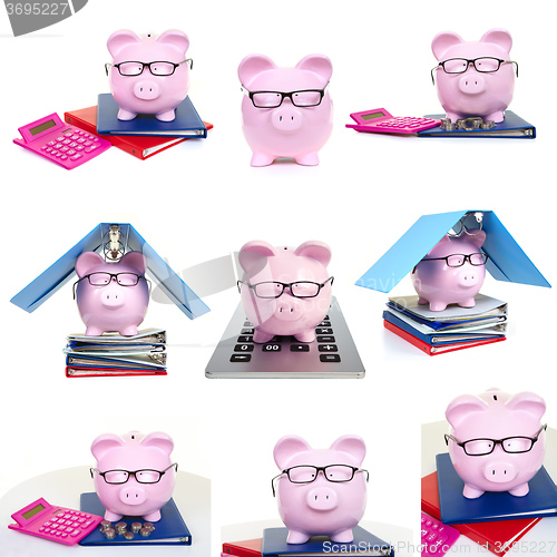 Image of Pink pig and and and  business